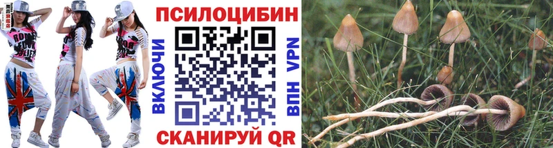 где купить наркоту  Инта  Галлюциногенные грибы ЛСД 